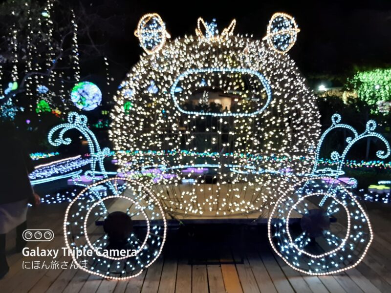 カエルの馬車の写真