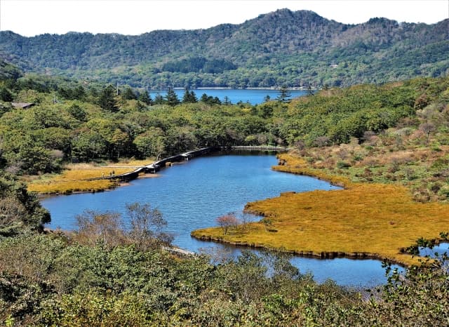 赤城山の覚満淵の写真