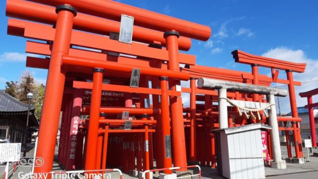小泉稲荷神社の300基の鳥居の写真