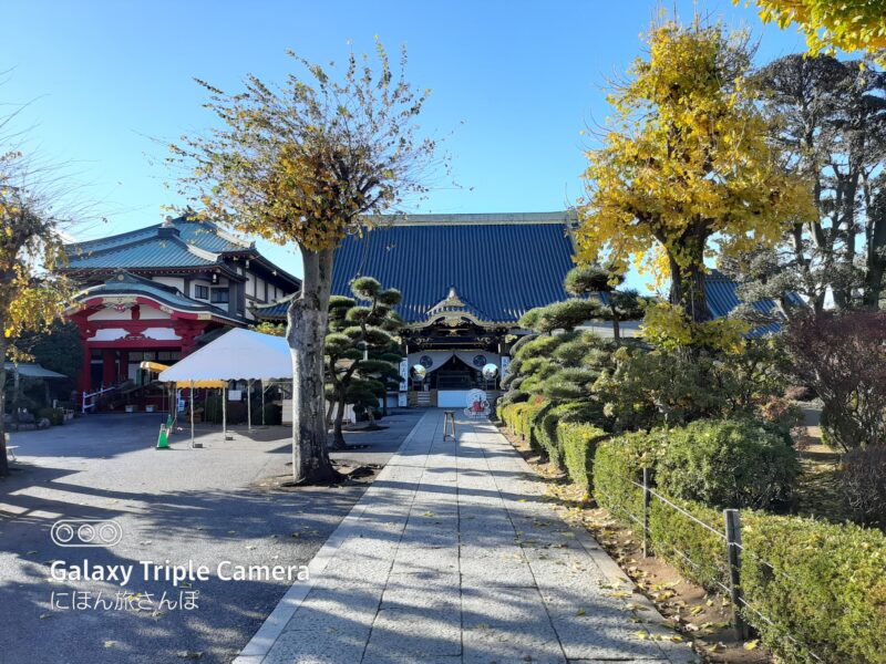 佐野厄よけ大師の遠くから撮った写真