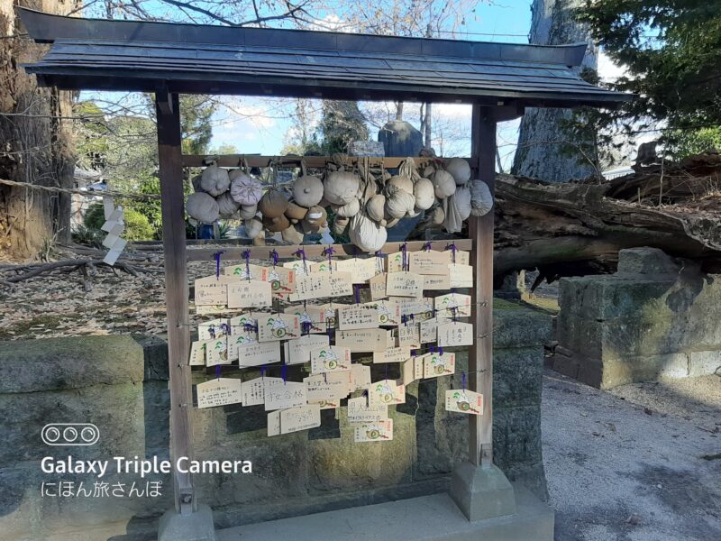 野木神社の絵馬の写真