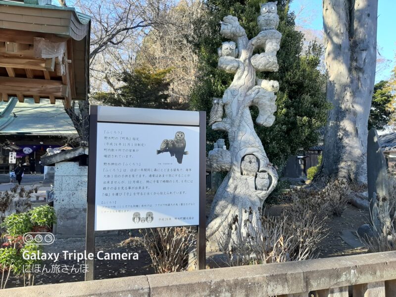 野木神社のフクロウの写真