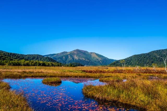 秋(9月中旬~10月中旬):草紅葉と紅葉