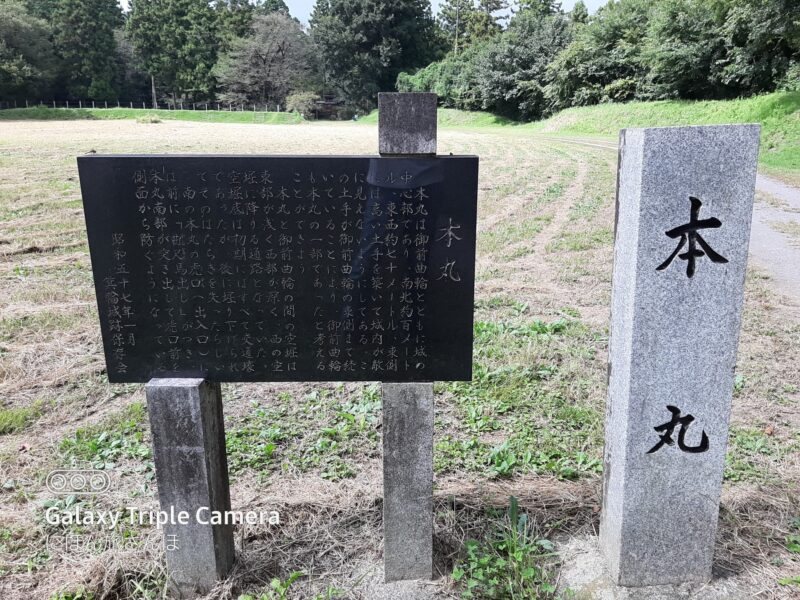 広大な城跡の見どころを紹介