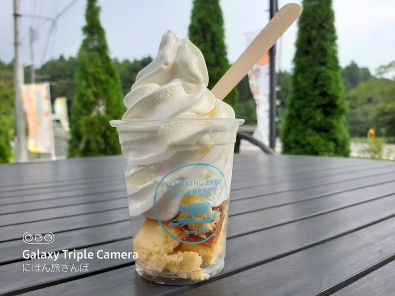 人気メニュー（ソフトクリーム）