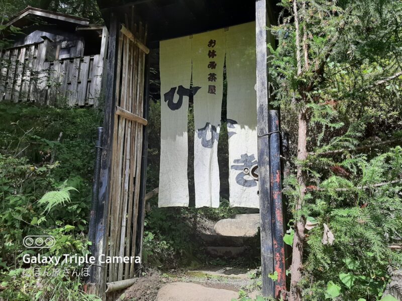 名水コーヒー響のメニューと値段を写真付きでご紹介。ただ、時期によって内容は異なるので行ってからのお楽しみ。