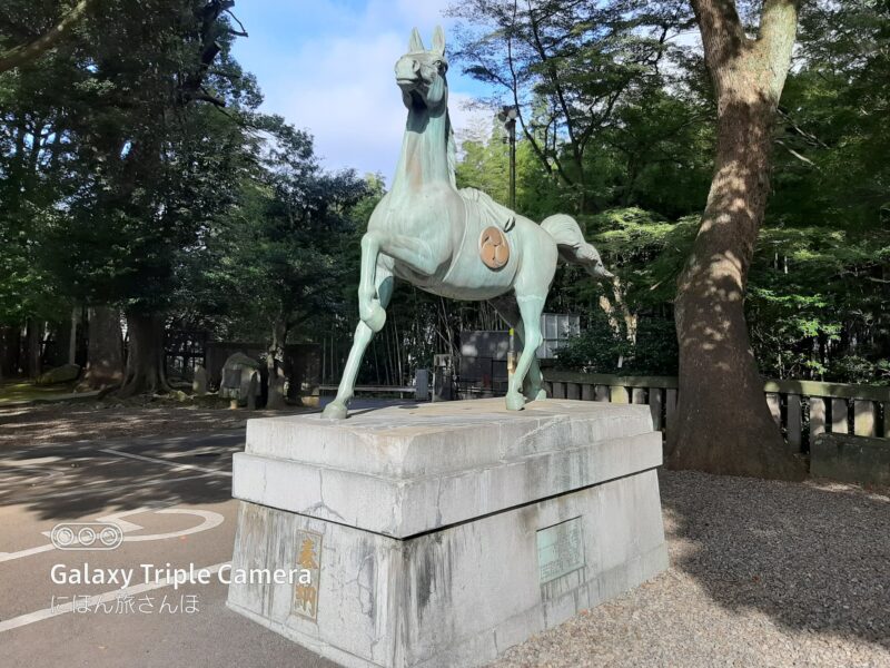 勝運だけじゃない！多様なご利益を授かろう