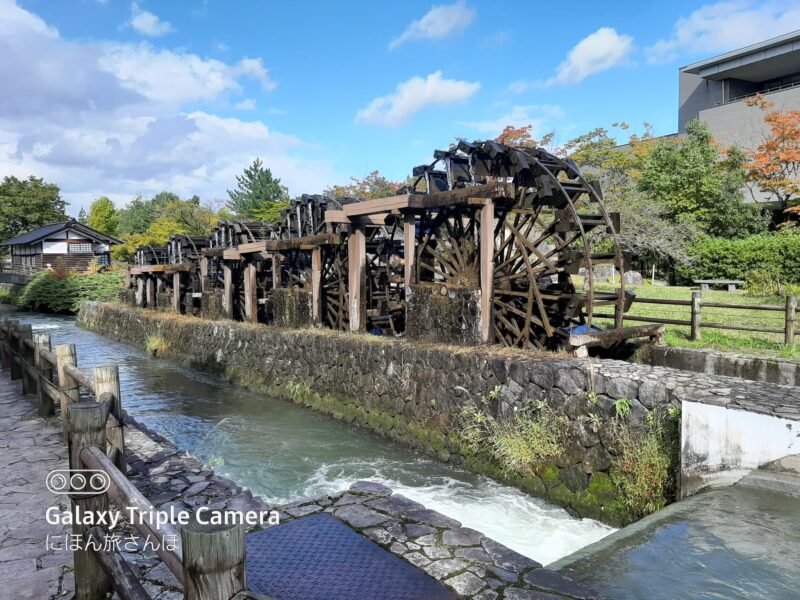 砺波チューリップ公園 何がある？見どころ徹底ガイド