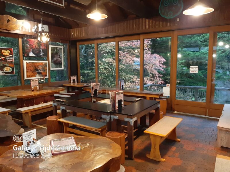 9月下旬～10月：奥日光で最も早い紅葉