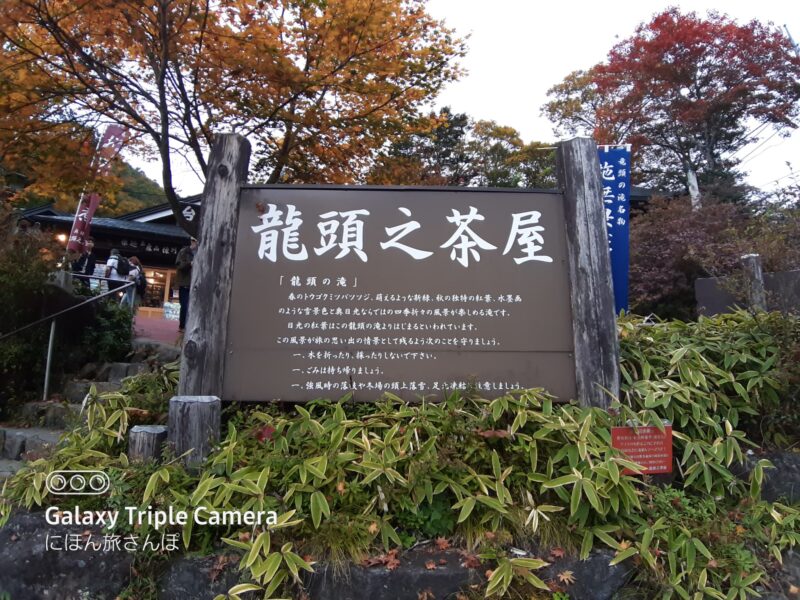 絶景を楽しめる食事処「龍頭之茶屋」