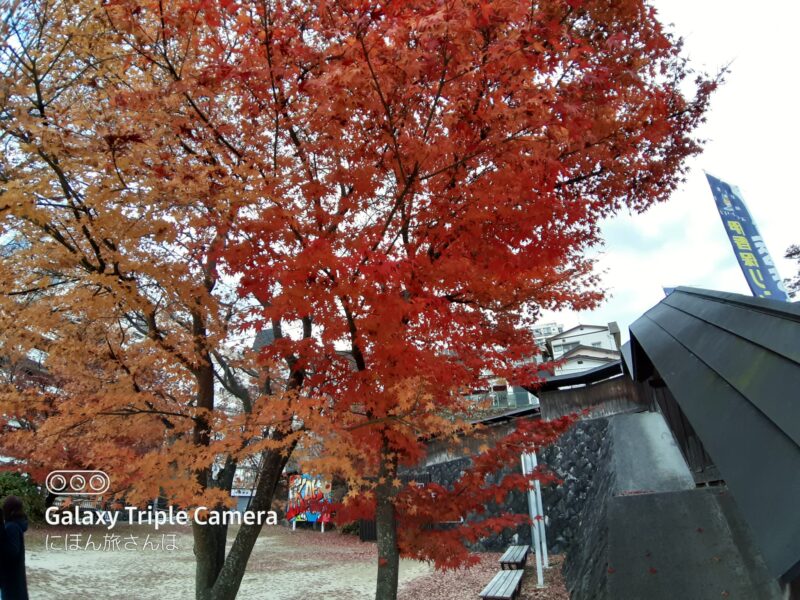 ライトアップで変わる夜の滞在時間