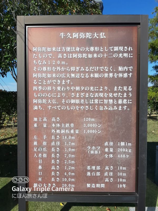 ギネス認定の高さや大きさと基本情報