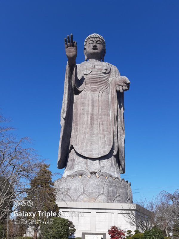 巨大すぎて怖いと感じる圧倒的な迫力