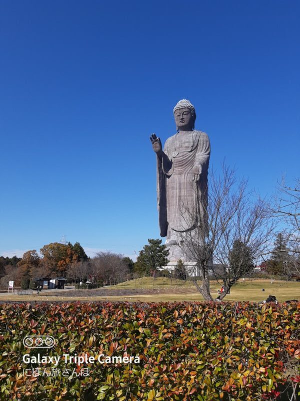 牛久大仏の所要時間と見どころ!ランチやアクセスも紹介