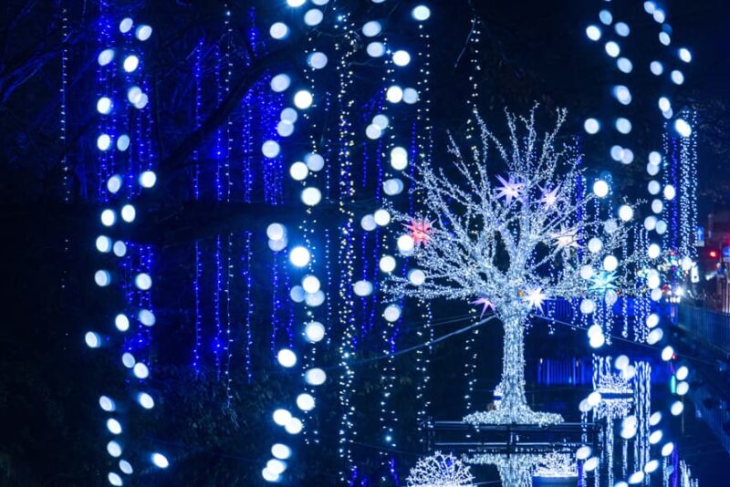 高崎光のページェント2025