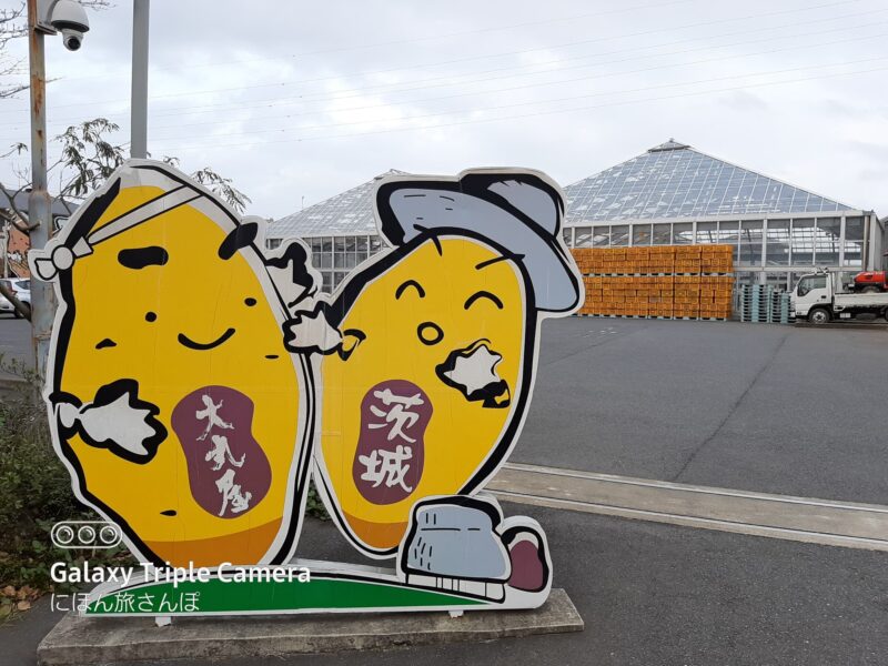 ほしいも専門店大丸屋のメニュー全網羅！ジェラートや通販情報も