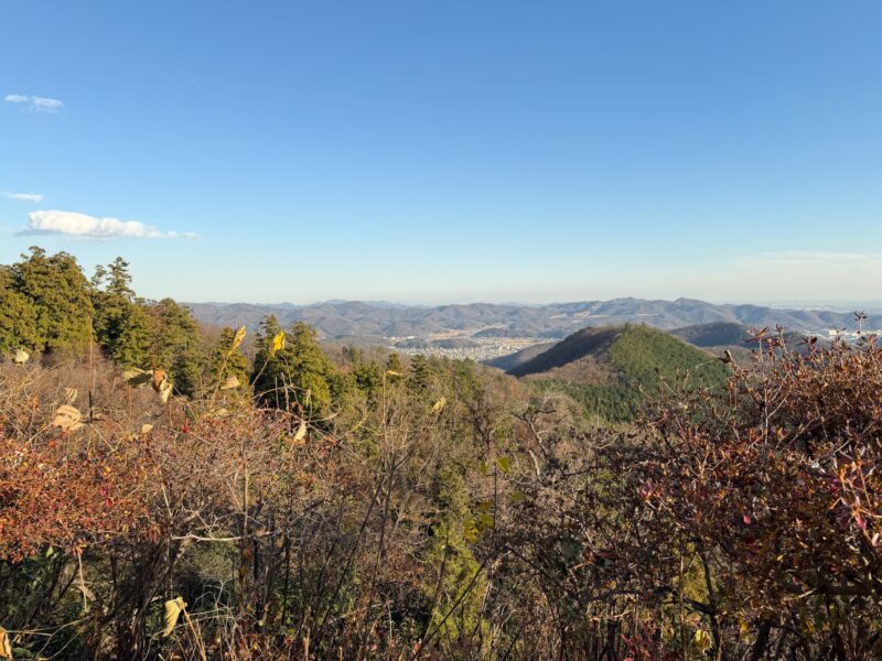 無料駐車場の台数や混雑する時間帯