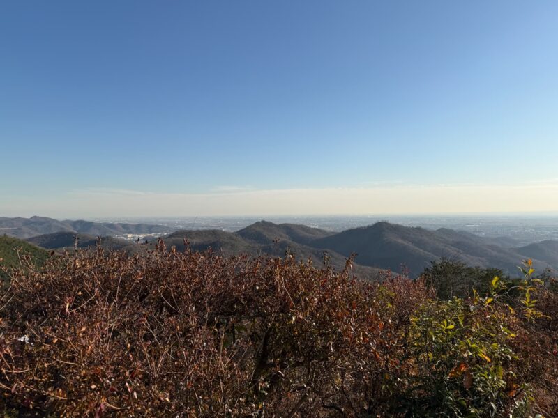 足利の天空テラスへ行こう!絶景カフェと狭い道の攻略法