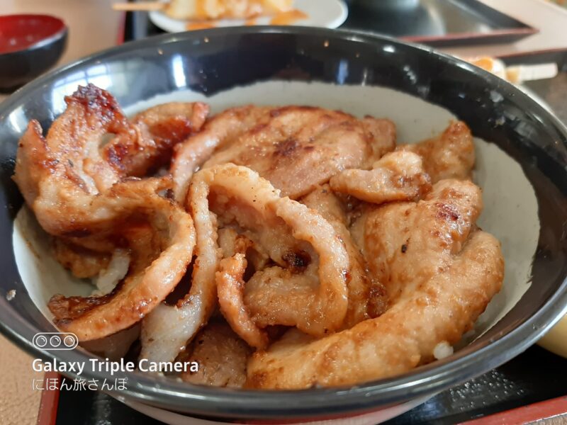 道の駅ちちぶには何がある？絶品の豚味噌丼を堪能
