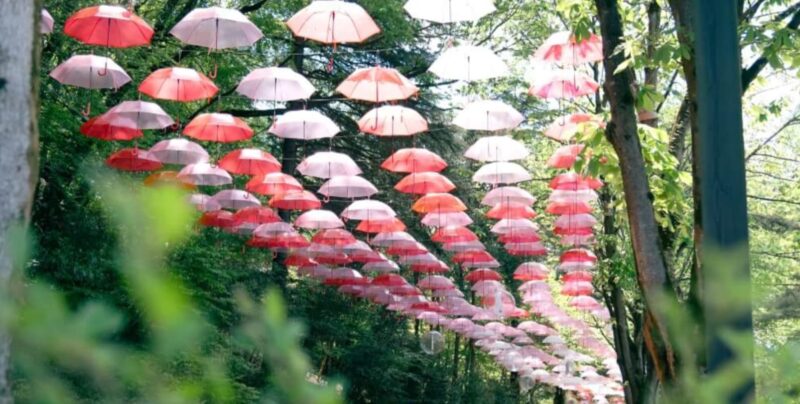 ムーミンバレーパークの所要時間や口コミは？子連れや雨の日も調査