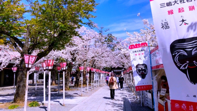 三嶋大社のご利益を授かる参拝ガイドと周辺情報