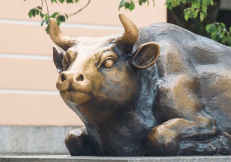 境内のシンボル「御神牛」から授かる身体健全の恵み