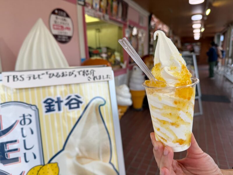 道の駅うつのみやろまんちっく村を満喫するガイド