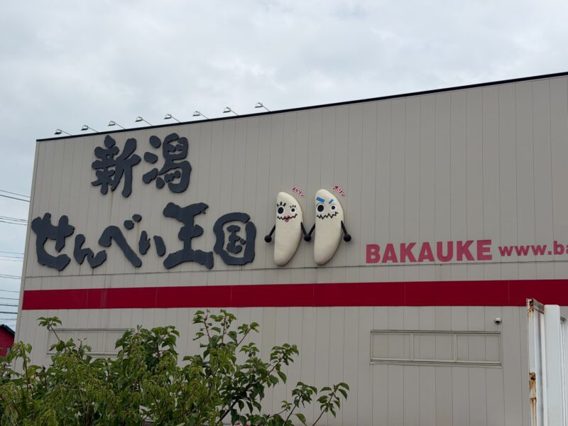 体験やせんべいソフトの満足度が高い良い口コミ