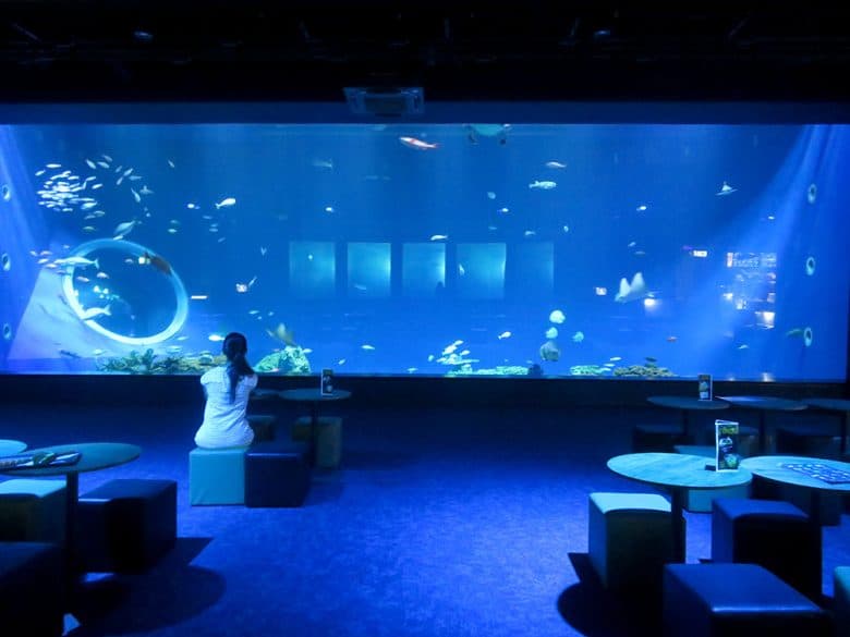 DMMかりゆし水族館の回り方|所要時間の公式目安は?入館前に確認したいポイント