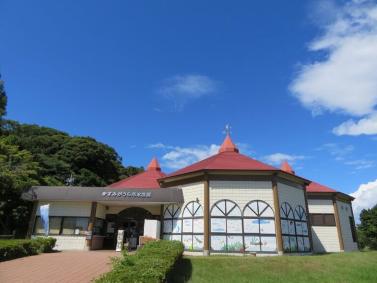 かすみがうら市水族館の見どころ｜霞ヶ浦の生き物を身近に観察
