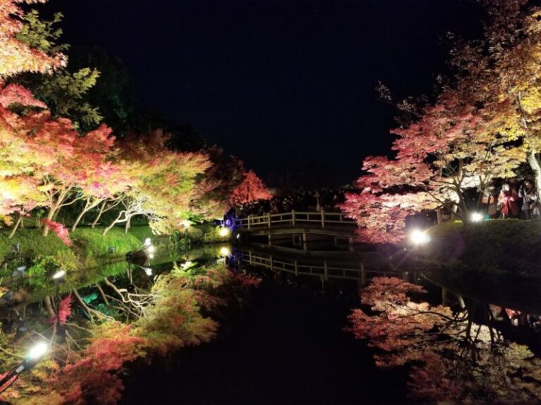 なばなの里の混雑を避けるには？イルミネーション期の来園時間と確認ポイント