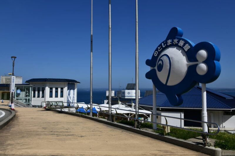 のとじま水族館の見どころ7選！ジンベエザメやショーを満喫