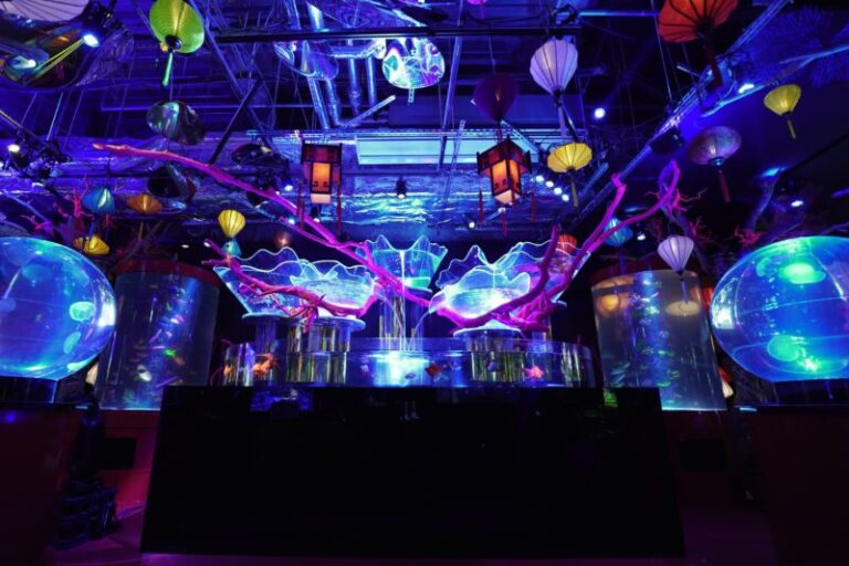 UWS AQUARIUM GA☆KYOの見どころ｜お台場で楽しむ和の水族館