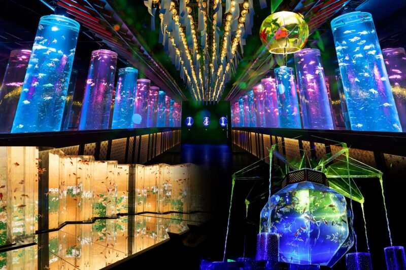 アートアクアリウム美術館 GINZAの見どころと楽しみ方