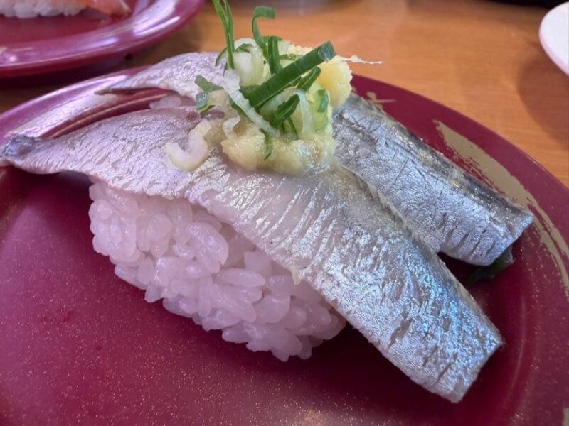 スシロー伊勢崎店の天然いわし