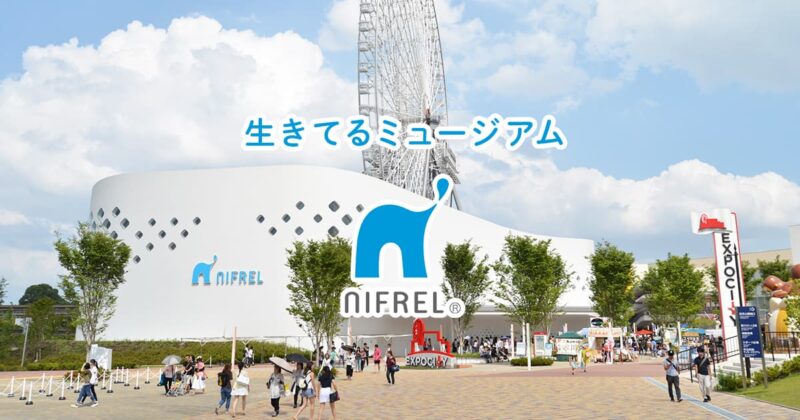 NIFRELの見どころ！所要時間や料金も紹介