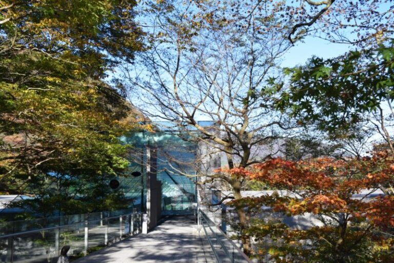 ポーラ美術館の見どころは？箱根でアートと自然を楽しむ