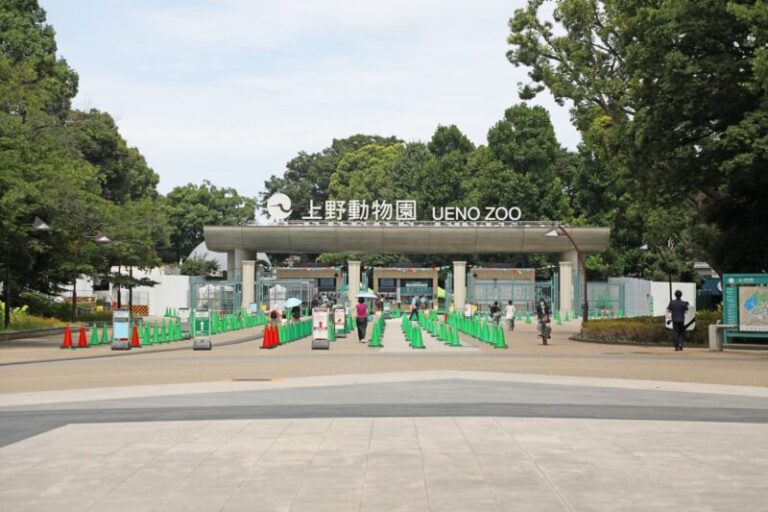 上野動物園の回り方｜3つの入口と東園・西園を踏まえた計画の立て方