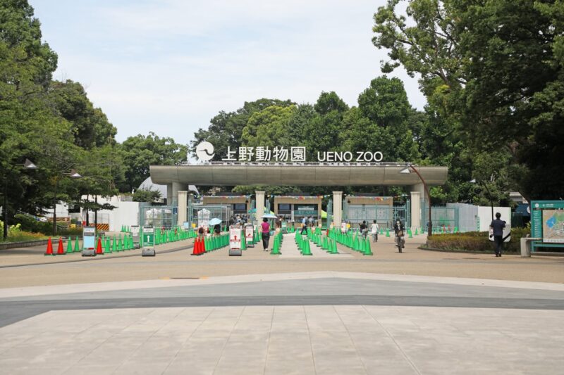 上野動物園の回り方｜3つの入口と東園・西園を踏まえた計画の立て方