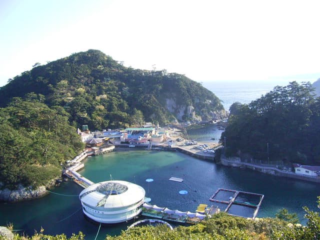 下田海中水族館の見どころと楽しみ方を紹介
