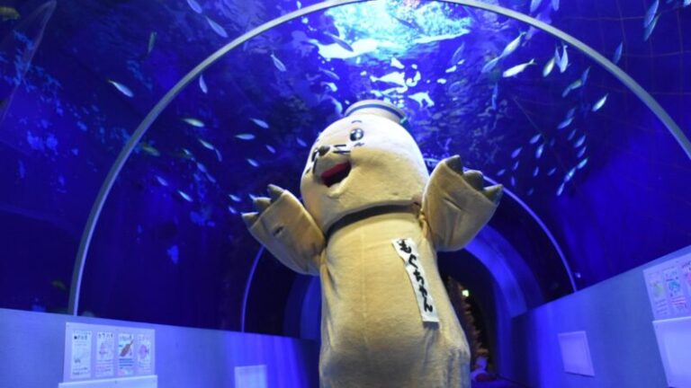 久慈地下水族科学館 もぐらんぴあの見どころ