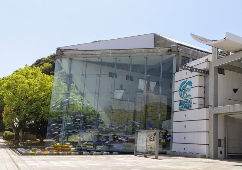九十九島水族館 海きららの見どころと楽しみ方