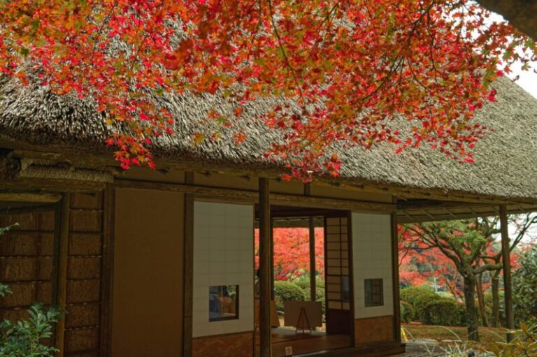 九年庵の紅葉は混雑する？2026年秋の公開日と整理券・訪問時の確認ポイント