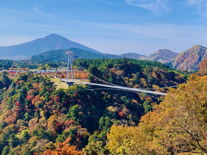 九重“夢”大吊橋の混雑は？入場制限の基準と訪問前に確認したいポイント