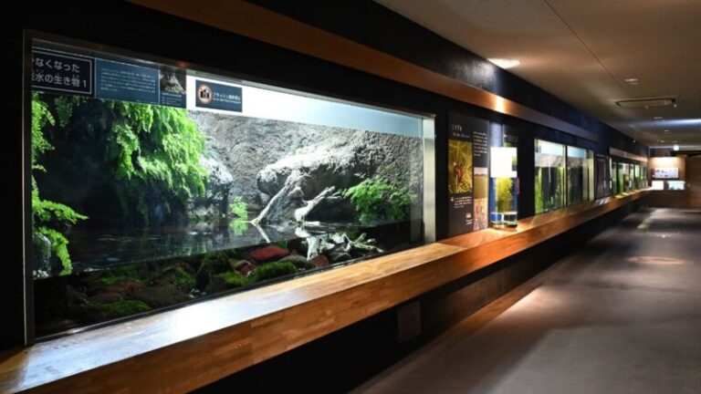 井の頭自然文化園 水生物館の見どころと楽しみ方