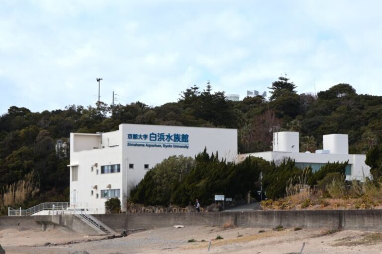 京都大学白浜水族館の見どころと楽しみ方