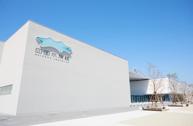 四国水族館の見どころ！料金・所要時間・アクセスも紹介