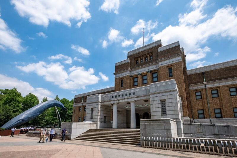 国立科学博物館の回り方｜日本館・地球館を目的別に見るポイントと来館前の確認事項