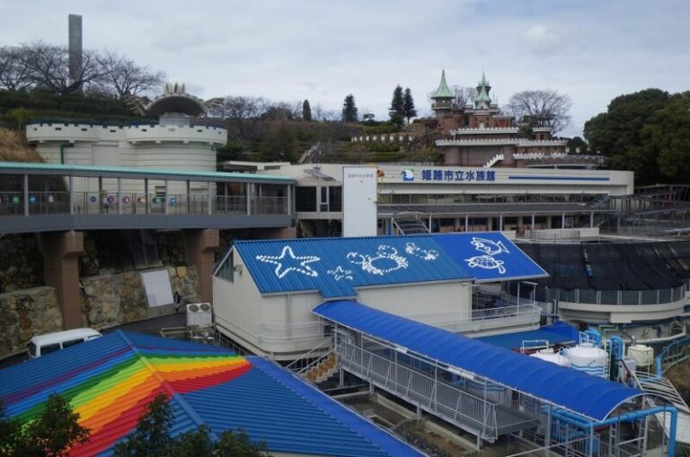 姫路市立水族館｜山の上で楽しむ播磨の生き物