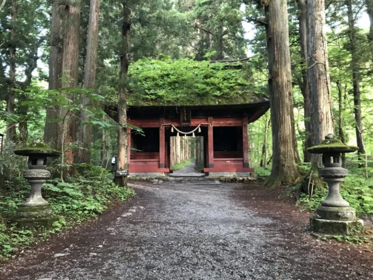 戸隠神社 奥社の見どころ完全ガイド｜所要時間・駐車場・御朱印